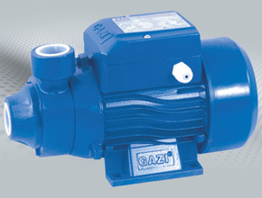 Water Pump QB 60 0.5hp Qb60 Qb80 Peripheral Electric Pump